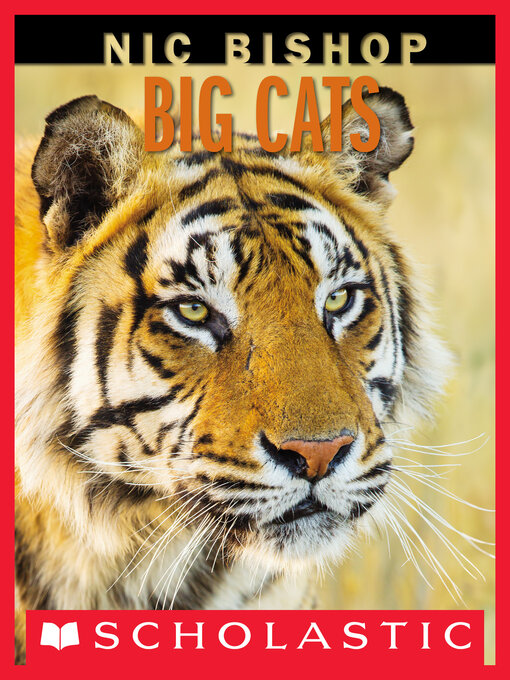 Title details for Nic Bishop Big Cats by Nic Bishop - Available